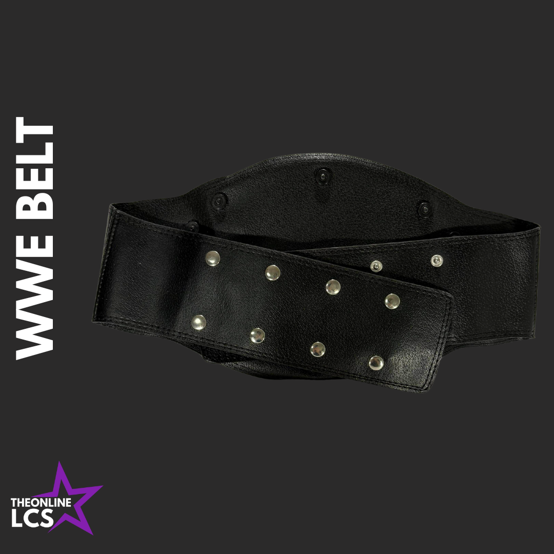 WWE Champion Spinner Kids Belt